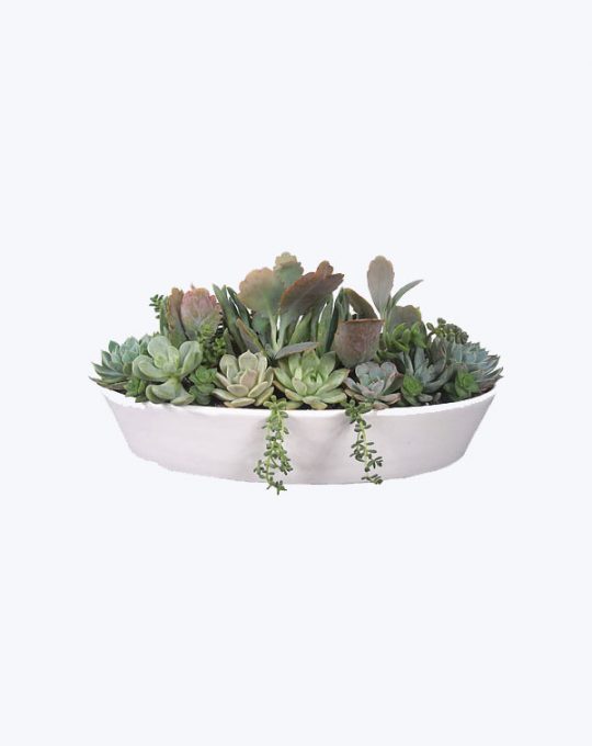 product-02-540x680