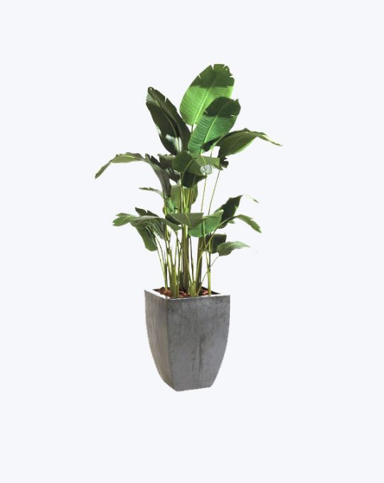 product-12-540x680